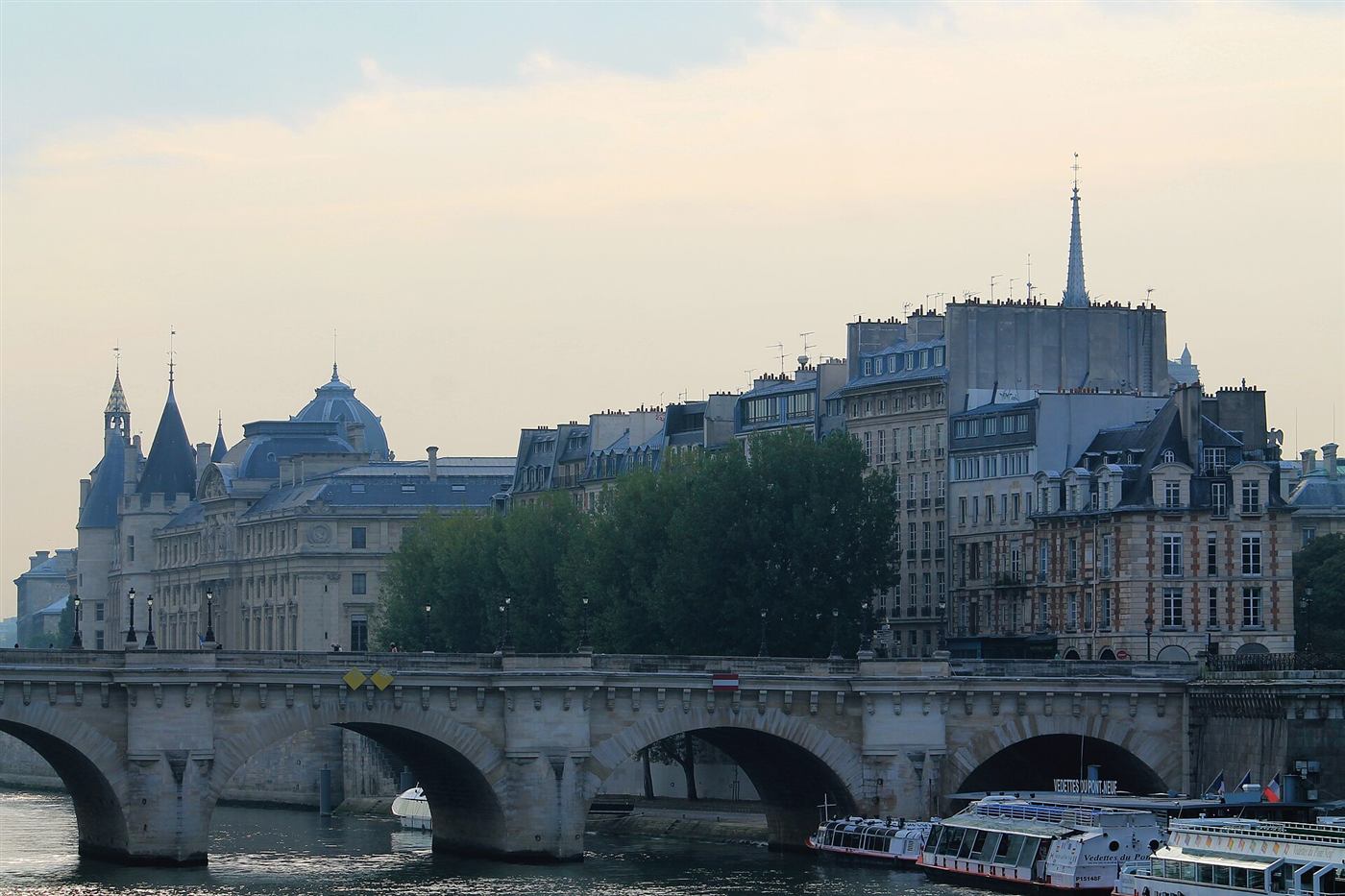 La Île de la Cité y el Pont Neuf, el puente más antiguo de París.