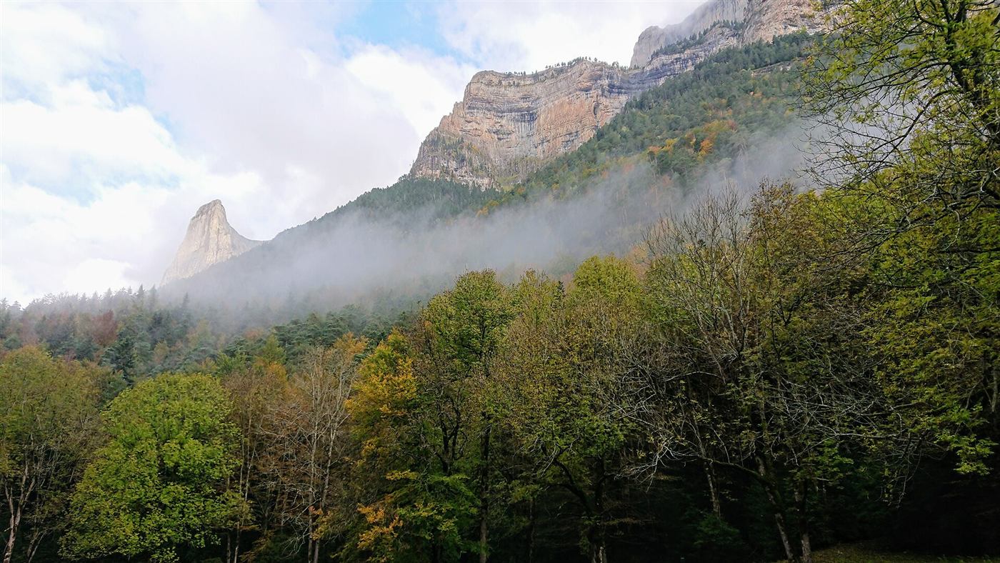 Nubes entre los bosques del valle de Ordesa.