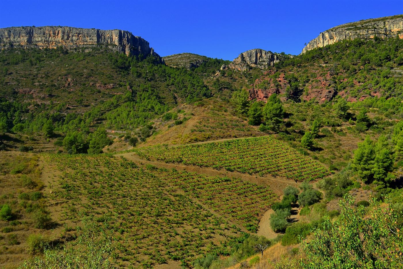 El valle del Siurana